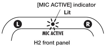 ZOOM H2 - HINT - 1