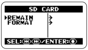 ZOOM H2 - Bring up the SD CARD screen. - 1