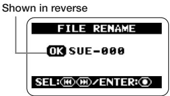 ZOOM H2 - When the file name is as you want it, confirm the change. - 1