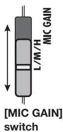 ZOOM H2 - Set the sensitivity of the built-in mics. - 1