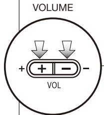 ZOOM H4NEXT - Press the 'VOL' = Adjusting - 2