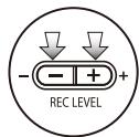 ZOOM H4NEXT - marks mean you can record without those settings. - 5