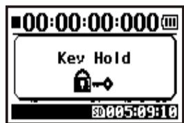 ZOOM H4NEXT - HOLD Function - 2