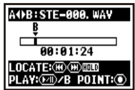 ZOOM H4NEXT - [Set up point A] Press. - 1