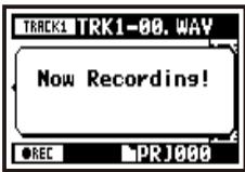 ZOOM H4NEXT - 1-07 Setting / Recording: TRACK MENU in MTR mode - 2
