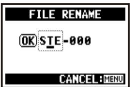 ZOOM H4NEXT - SELECTING THE FILES...P.104 - 6