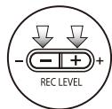 ZOOM H4NEXT - Press REC LEVEL and adjust the levels. - 3
