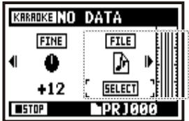 ZOOM H4NEXT - Allocate an optional file on to KARAOKE track - 4