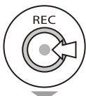 ZOOM H4NEXT - marks mean you can record without those settings. - 2