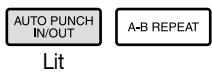 ZOOM MRS-1044 - Using auto punch-in/out - 3