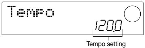 ZOOM MRS-1044 - Press the [TEMPO] key. - 1