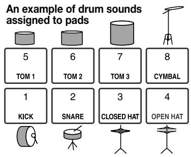 ZOOM MRS-1044 - Repeatedly press the [DRUM/BASS] key to make the display indicate "Pad Drum." - 1