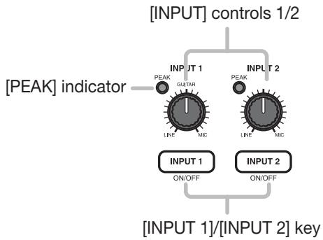 ZOOM MRS-802 - Input section - 1