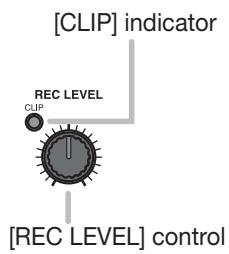 ZOOM MRS-802 - Input section - 2