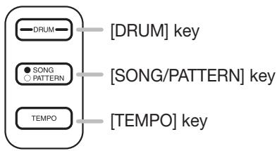 ZOOM MRS-802 - Effect section - 3