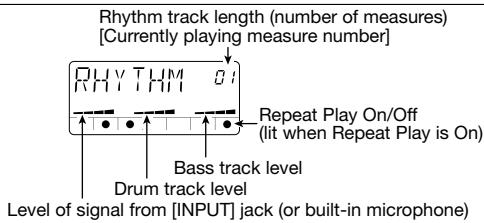 ZOOM PS-02 - Display - 1