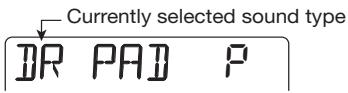 ZOOM PS-04 - Use the cursor left/right keys to select DR (drum kit) or BS (bass program). - 1
