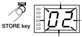ZOOM RFX-2000 - Storing an Edited Patch - 1