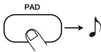 ZOOM RT-123 - STEP6 Press the desired pad and/or the [REPEAT/STEP] key to enter the desired note or rest with the desired duration. - 1