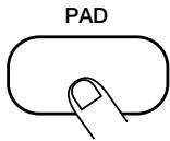 ZOOM RT-123 - STEP3 Tap one of the pads. - 1