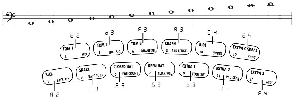 ZOOM RT-123 - Example with A minor scale assigned to pads - 1