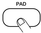 ZOOM RT-123 - STEP2 Depending on the desired item, press one of pads 1 - 13 or the [PATTERN] key. - 1