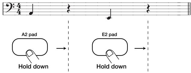 ZOOM RT-123 - STEP9 - 2