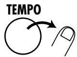ZOOM RT-123 - Press the [TEMPO] key. - 8