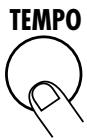 ZOOM RT-123 - Press the [TEMPO] key. - 1