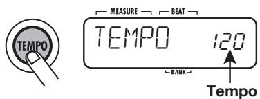 ZOOM RT-223 - Press the [TEMPO] key. - 1