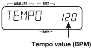 ZOOM RT-223 - Hold the [TEMPO] key... - 1