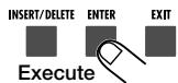 ZOOM RT-323 - To execute the copy process, press the [ENTER] key. To cancel the copy process, press the [EXIT] key. - 1