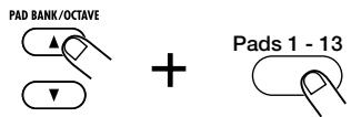 ZOOM RT-323 - Editing pad settings - 9