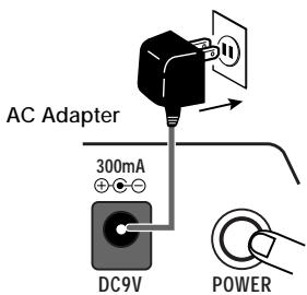 ZOOM ST-224 - STEP2 - 1