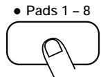 ZOOM ST-224 - STEP 3 - 1
