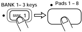 ZOOM ST-224 - If "int" or "CArgXX" was selected in step 2, press the [LOAD] key and use the [BANK 1] - [BANK 3] keys and pads 1 - 8 to select the load source bank number and pad number. - 3