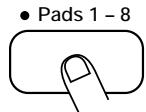 ZOOM ST-224 - STEP4 - 1