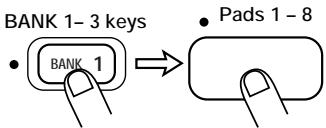 ZOOM ST-224 - Press the [AUTO SYNC] key. - 3