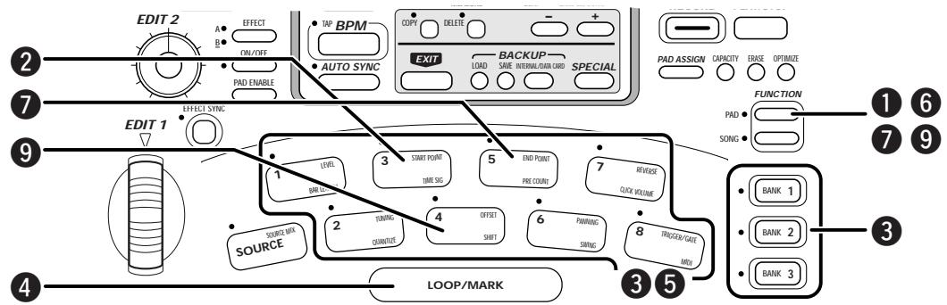 ZOOM ST-224 - Setting the SamplePlayback Position - 3