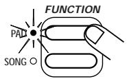 ZOOM ST-224 - Setting the Playback Parameters for Each Pad - 3