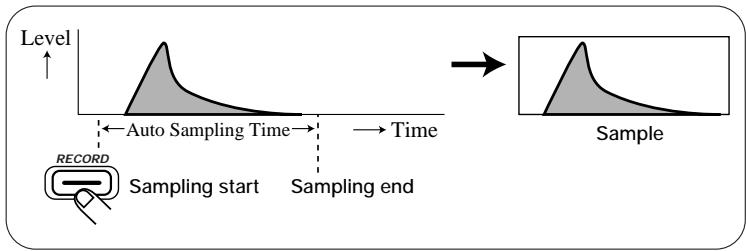 ZOOM ST-224 - STEP4 To perform auto stop sampling, hold down the [PLAY/STOP] key. - 11