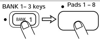 ZOOM ST-224 - STEP2 Use the [BANK 1] - [BANK 3] keys and the pads 1 - 8 to select the pad to delete. - 2