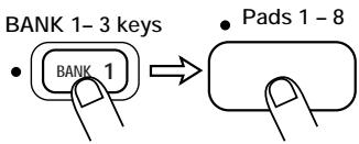 ZOOM ST-224 - Press the [LOAD] key and use the [BANK 1] - [BANK 3] keys and pads 1 - 8 to select the load target bank number and pad number. - 3