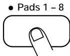ZOOM ST-224 - STEP8 To resample a song, press the [SONG PLAY/STOP] key. To resample pad play, hit one of pads 1 - 8. - 2