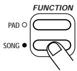 ZOOM ST-224 - Press the [SONG FUNCTION] key again. - 1