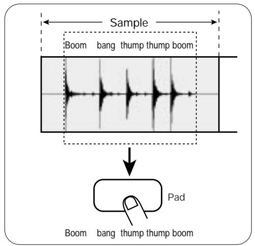 ZOOM ST-224 - Samples - 2