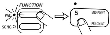 ZOOM ST-224 - STEP7 - 1