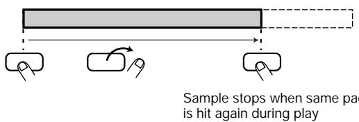 ZOOM ST-224 - - Gate playback - 2