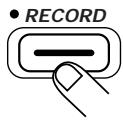 ZOOM ST-224 - STEP7 Press the [RECORD] key again. - 2