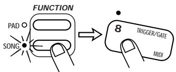 ZOOM ST-224 - STEP4 - 1